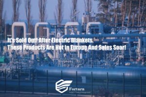 IT’S SOLD OUT! AFTER ELECTRIC BLANKETS, THESE PRODUCTS ARE HOT IN EUROPE, AND SALES SOAR
